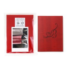 Photo1: 12goshitsu / Cats in Morocco (1)