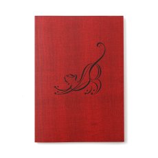 Photo2: 12goshitsu / Cats in Morocco (2)