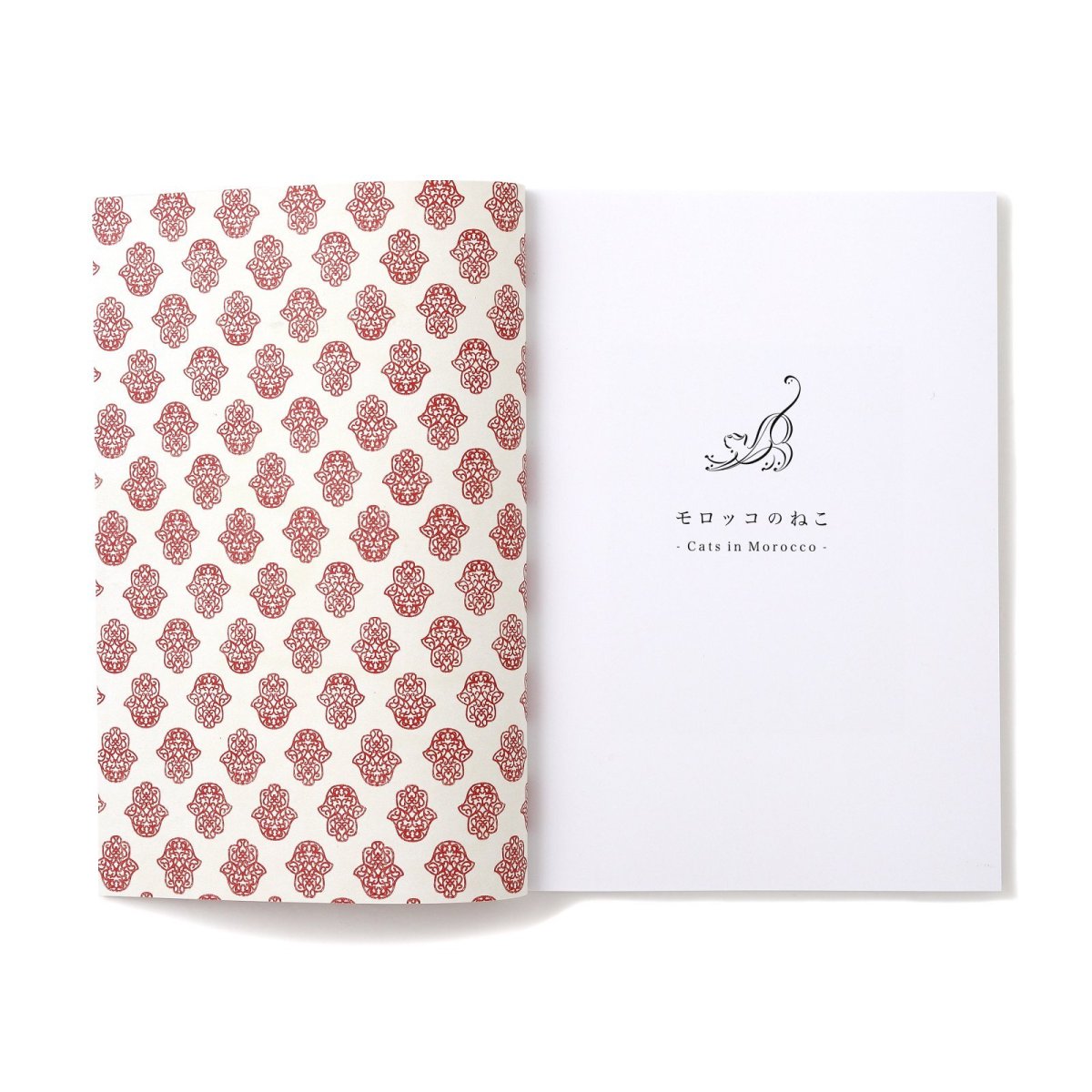 Photo3: 12goshitsu / Cats in Morocco (3)