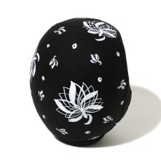 Photo6: USUGROW / Lucky Daruma HASUMARU 2020 / Black Lotus S (6)