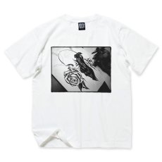 Photo1: USUGROW / PROCESS WHITE TEE (1)