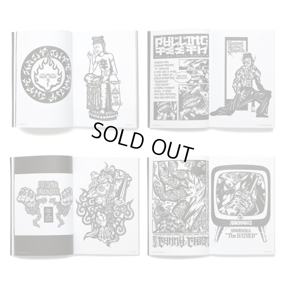 Photo4: USUGROW 1993-2003 (4)